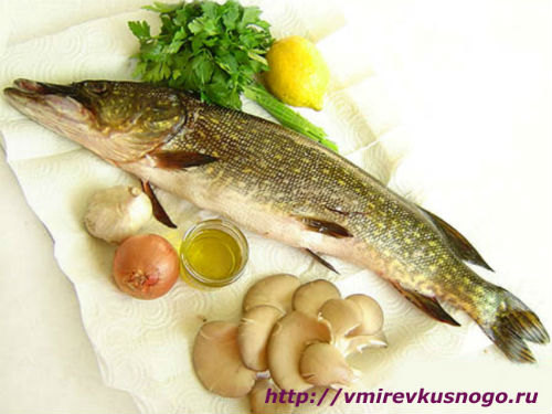 Щука: полезно или просто вкусно