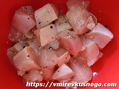 мясо на шпажках