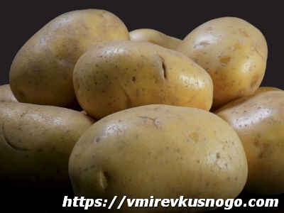 Хранение картофеля описание картофеля