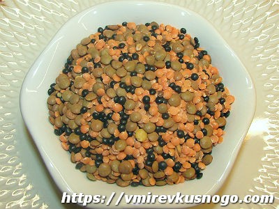 виды чечевицы