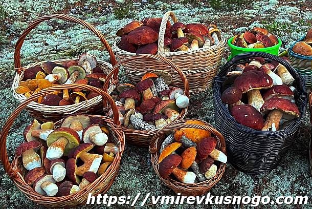 Заготовка грибов