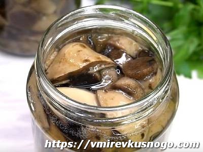 заготовка грибов на зиму