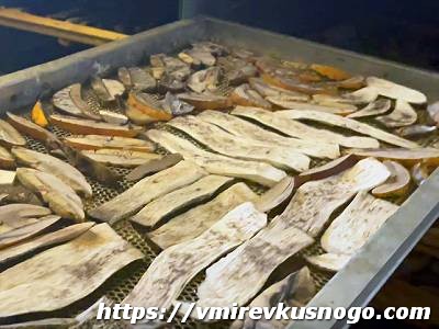 заготовка грибов на зиму