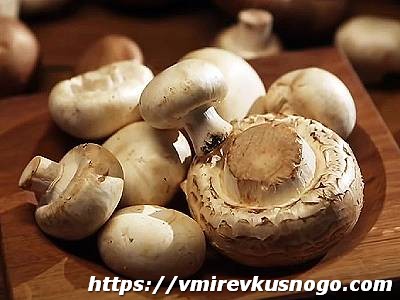 Шампиньоны съедобные грибы