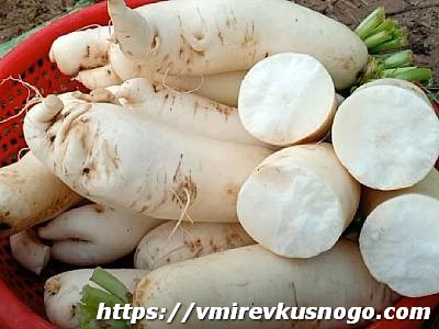 дайкон редька дайкон