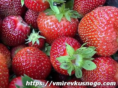 клубника описание фото