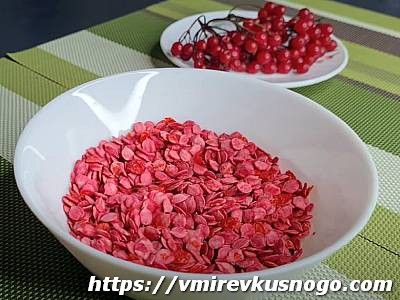 калина красная