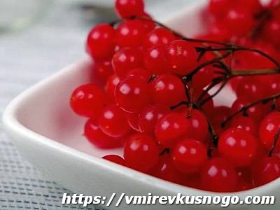 калина красная